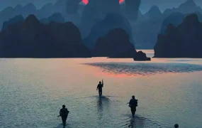 粤语配音电影金刚:骷髅岛 Kong: Skull Island