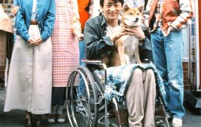 日剧同一屋檐下2粤语配音版全12集 一个屋檐下2粤语版