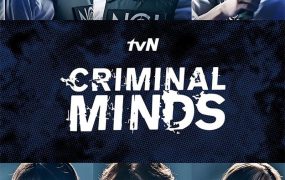 韩剧犯罪心理粤语配音版全21集 犯罪心理:韩国粤语版